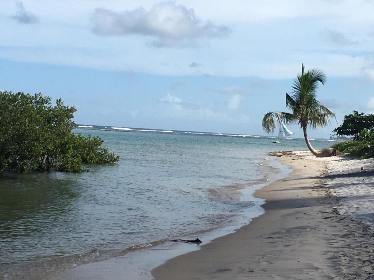 Polinesia Resort - Porto De Galinhas - Apartamentos Com Somente 1 Opcao De Terreo Com Piscina Privativa - Acesso Ao Hotel Samoa Kültér fotó